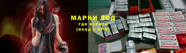 гашик Семилуки