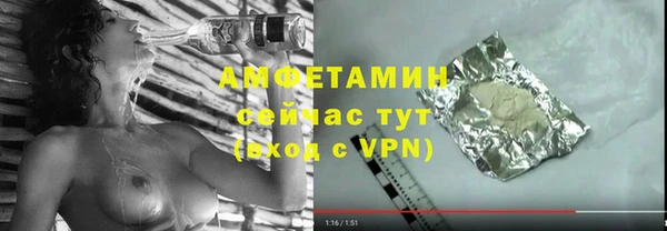 гашик Семилуки