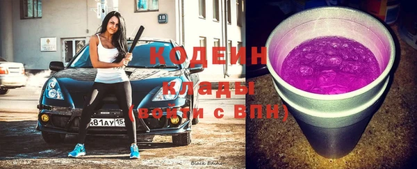 гашик Семилуки