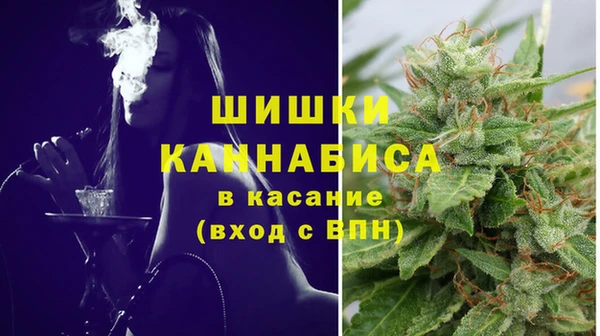 гашик Семилуки